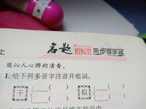 干字多音字详解：注音与组词示例 2