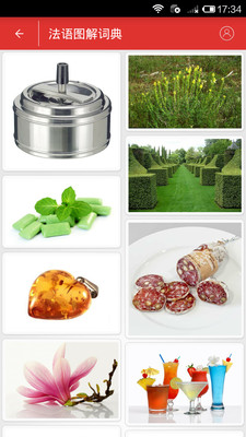 法语角安卓版 截图3