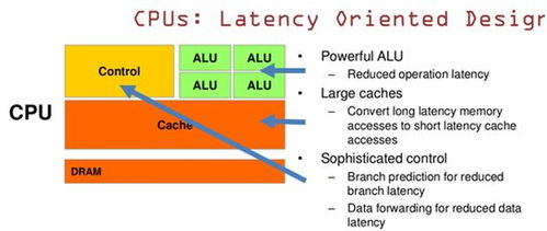 揭秘：人名后“alu”的真正含义是什么？ 1