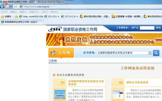 轻松掌握：国家职业资格证书全国联网查询全攻略 3
