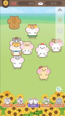 仓鼠城 截图2