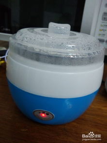 家庭酸奶机自制酸奶指南 1