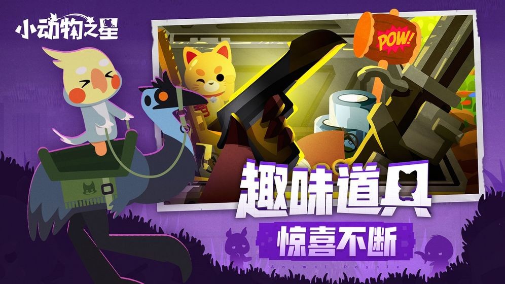 小动物之星 1