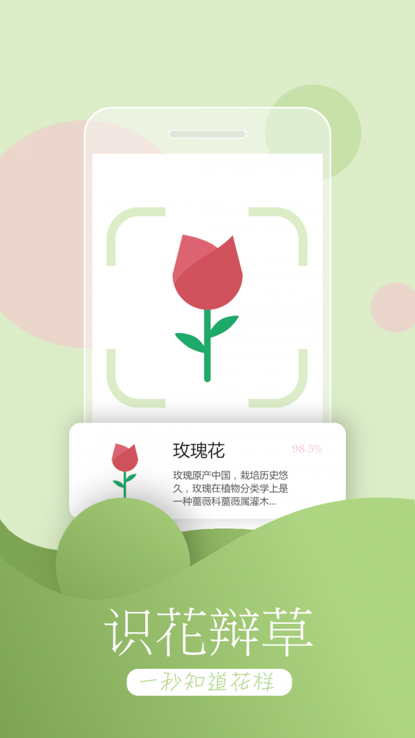 万能拍照识物app 截图3