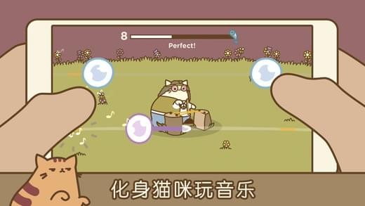 Pogocat 1