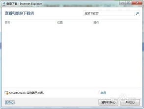 轻松掌握：查看IE浏览器下载文件的小技巧 2