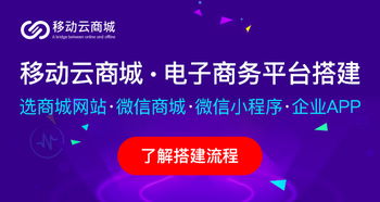 掌握网上商城高效推广策略，引爆流量增长！ 3