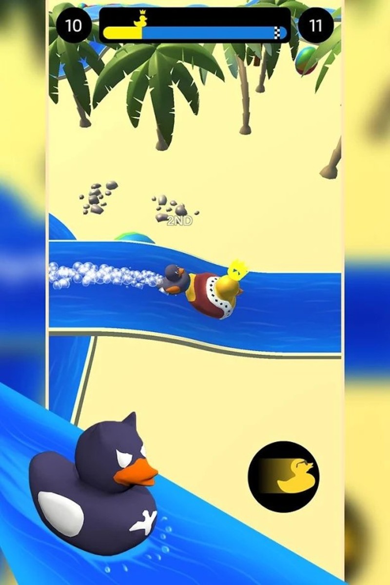 水道鸭赛 1