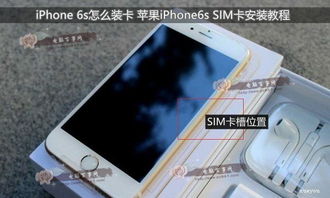 iPhone 5/6 Plus NanoSIM卡剪卡教程：轻松将大卡变小卡 3