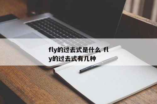 fly 的过去式形式是什么 1