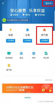 使用支付宝缴纳天然气费用的方法 1