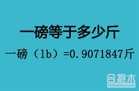 轻松换算：一磅对应多少斤，一看就会！ 5