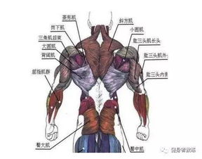 膀大腰圆特指哪位历史人物 1