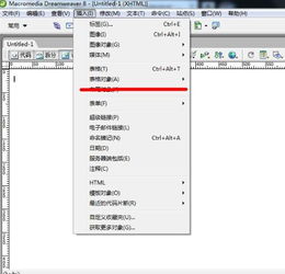 揭秘Dreamweaver CS3：深入解析表单对象选项的奥秘 1