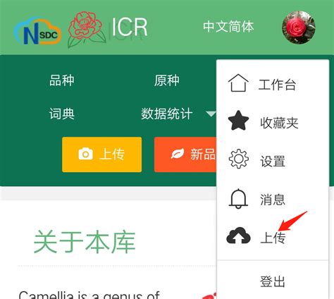 如何在手机上轻松浏览QQ相册的照片 4