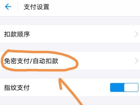 一键掌握！支付宝关闭免密支付的详细步骤，保护你的钱包安全 2