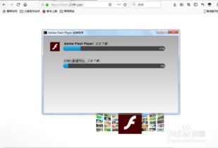 如何在浏览器中安装Flash插件？ 2