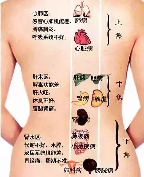 揭秘：按摩这五大私密部位，轻松远离亚健康困扰 3