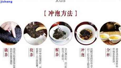 普洱茶冲泡的九步精妙技法 1