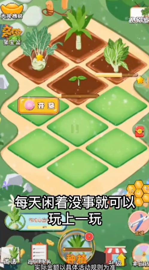 大头菜农场手机版 截图2