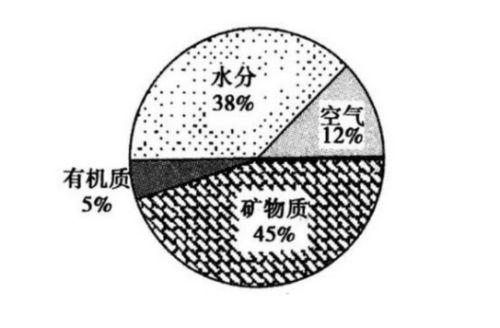 揭秘：泥土究竟由哪些主要成分构成？ 1