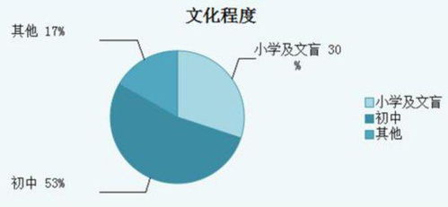 问答揭秘：如何准确填写文化程度信息？ 4