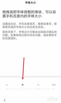 如何调整百度页面字体大小 1