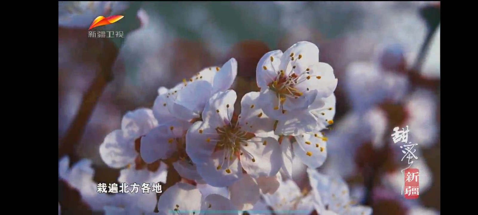 HTV电视安装包 截图3