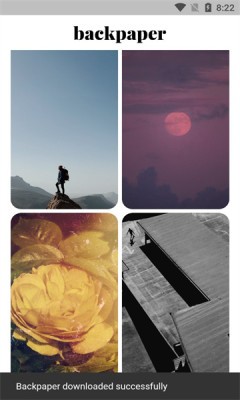 Backpaper 1