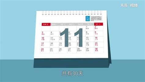 揭秘：“NOV”究竟代表哪个月份？ 1