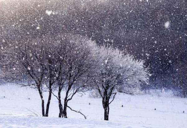 描绘大雪漫天飞舞的经典成语 3