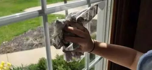 高效擦玻璃小妙招 1