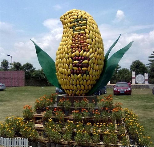 芒果家常美味吃法大揭秘 1