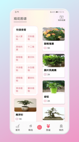养花小助手 截图3