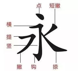 掌握花字艺术之美：一步步解锁花笔画的正确书写顺序 4