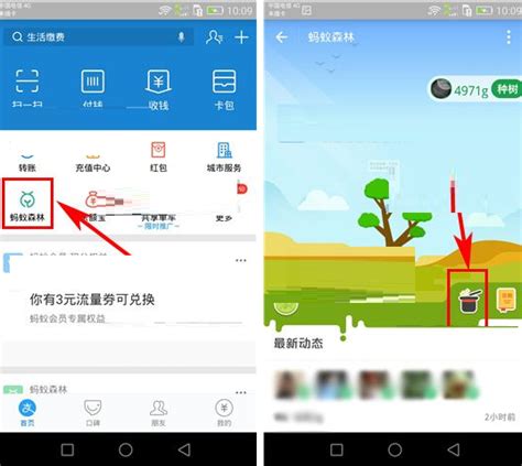 揭秘！支付宝中获取能量保护罩的绝妙方法 4