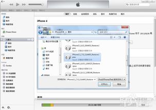 iOS 7.0.3 系统固件获取 3