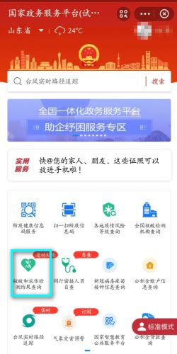 手机轻松查！快速获取核酸检测报告指南 1