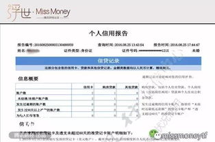 轻松掌握：个人信用记录查询全攻略 3