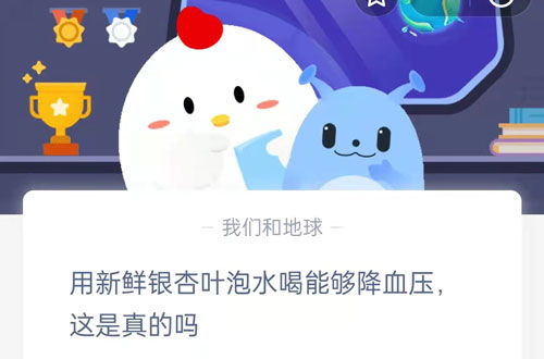 揭秘：蚂蚁庄园新鲜银杏叶泡水真的能降血压吗？ 3