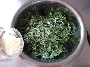 苜蓿的美味家常食谱大揭秘 2