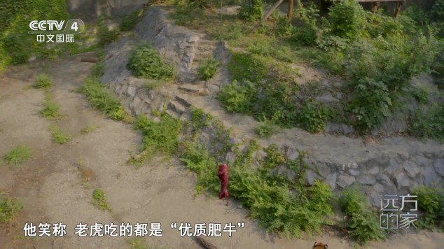 频道多多tv电视直播 截图4