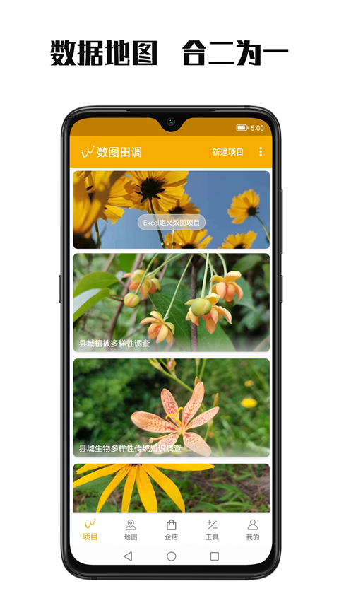 数图app 截图4