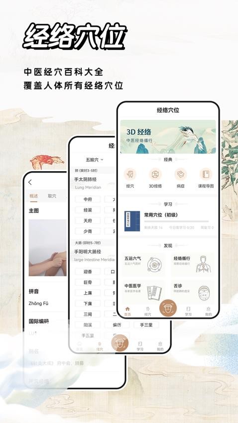 中医经络穴位标准指南 截图5
