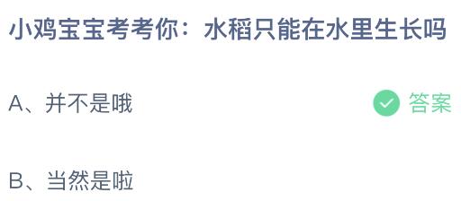 揭秘！水稻真的只能在水里生长吗？蚂蚁庄园3月25日趣味解答 2