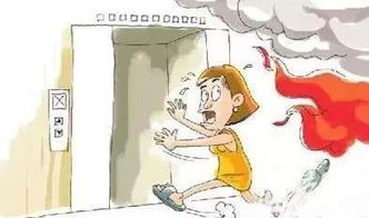 泥石流中的正确逃生指南 3