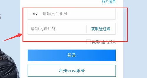 如何轻松实现CloudVivocom云服务的高效登录？ 2