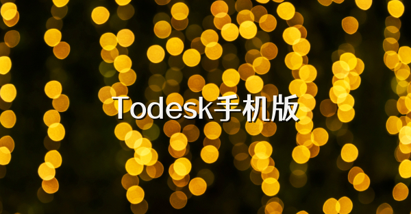 Todesk手机版