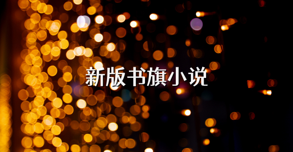 新版书旗小说