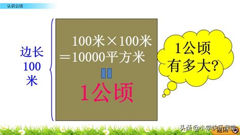 揭秘！1公顷对应的亩数与平方米数全解析 1